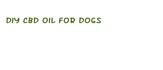 diy cbd oil for dogs