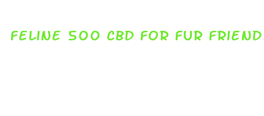 feline 500 cbd for fur friend made in denver