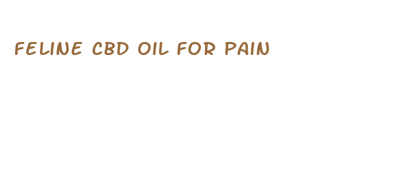 feline cbd oil for pain