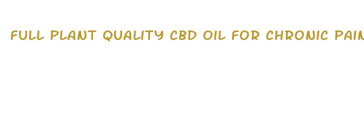 full plant quality cbd oil for chronic pain