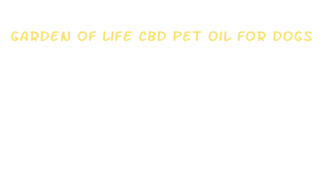 garden of life cbd pet oil for dogs