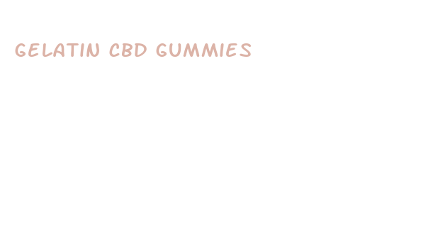 gelatin cbd gummies