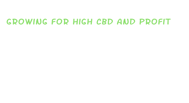 growing for high cbd and profit