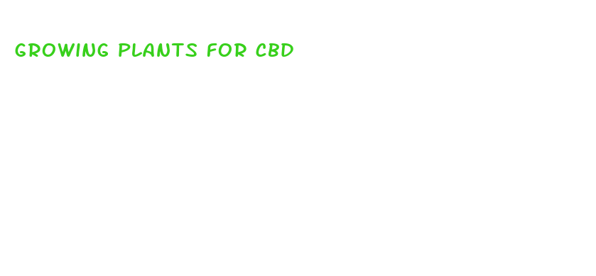 growing plants for cbd