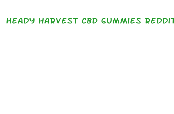 heady harvest cbd gummies reddit