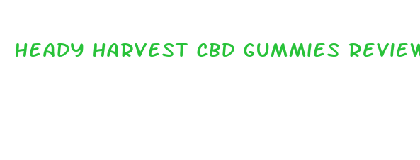 heady harvest cbd gummies review