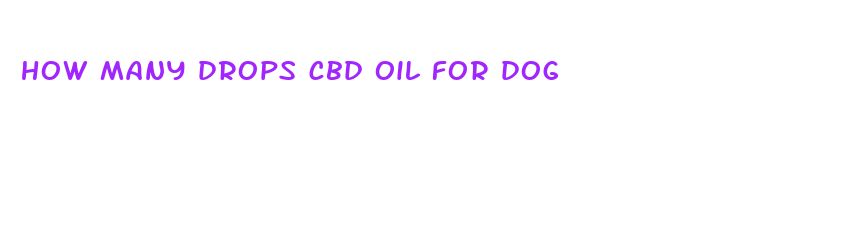 how many drops cbd oil for dog