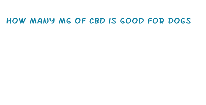 how many mg of cbd is good for dogs