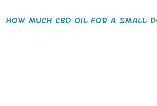 how much cbd oil for a small dog