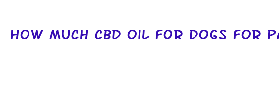 how much cbd oil for dogs for pain