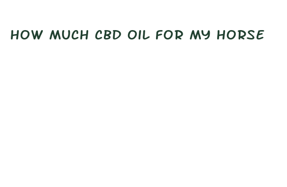 how much cbd oil for my horse