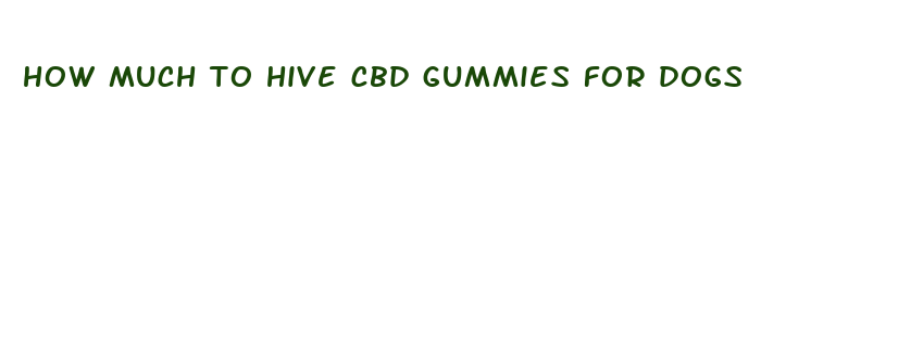 how much to hive cbd gummies for dogs