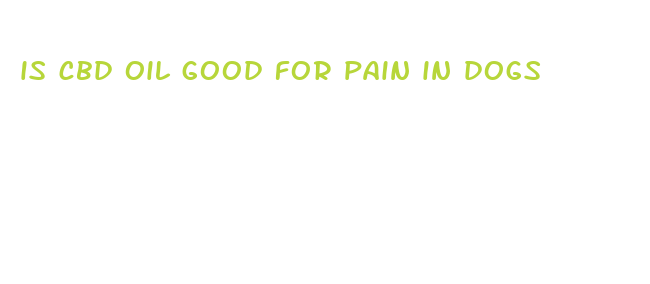 is cbd oil good for pain in dogs