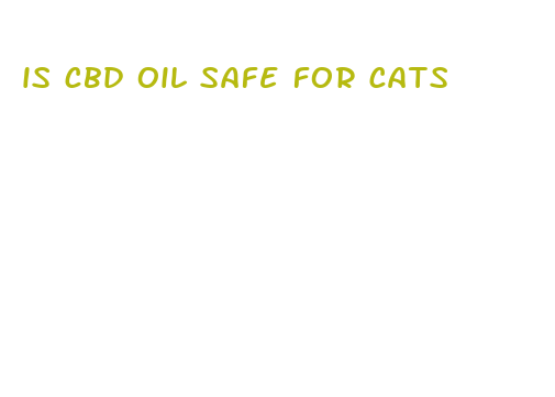 is cbd oil safe for cats