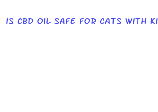 is cbd oil safe for cats with kidney disease