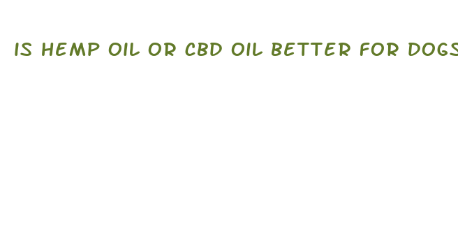 is hemp oil or cbd oil better for dogs