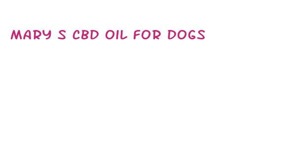 mary s cbd oil for dogs