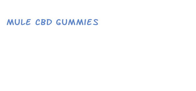 mule cbd gummies