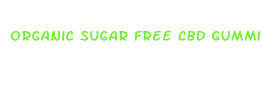 organic sugar free cbd gummies