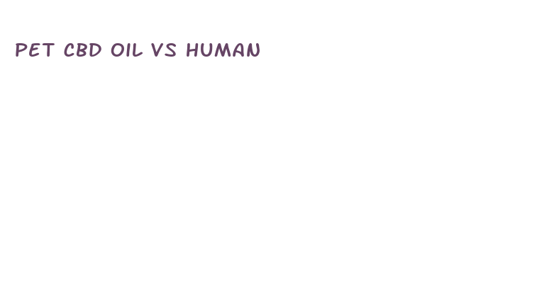 pet cbd oil vs human