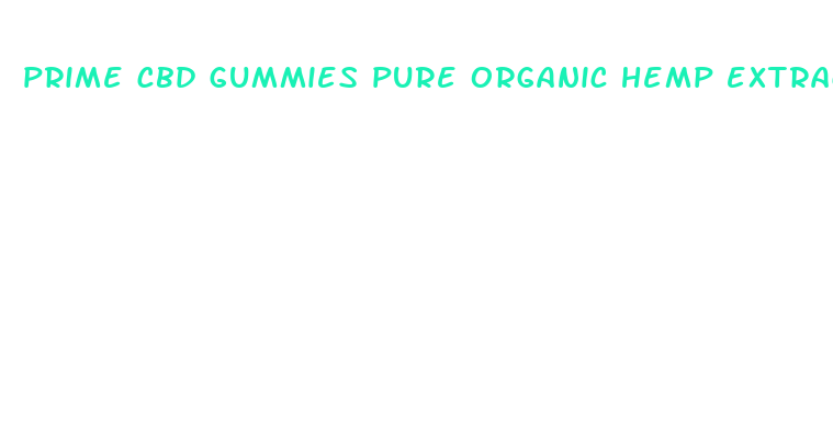 prime cbd gummies pure organic hemp extract