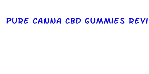 pure canna cbd gummies review