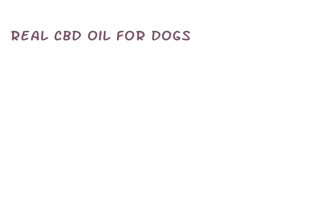 real cbd oil for dogs