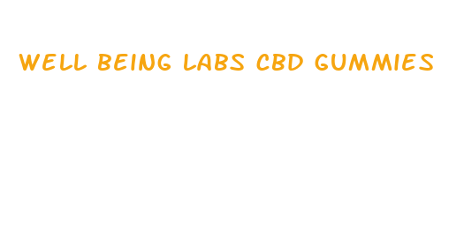 well being labs cbd gummies