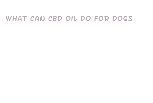 what can cbd oil do for dogs