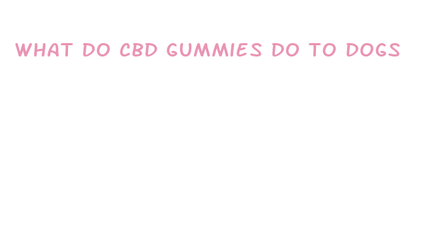 what do cbd gummies do to dogs