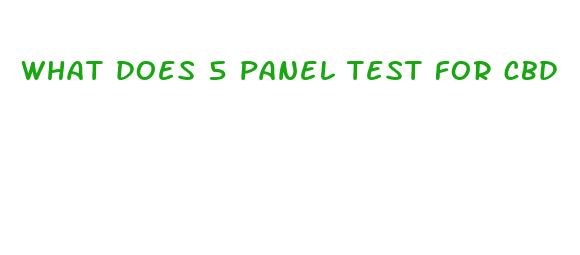 what does 5 panel test for cbd