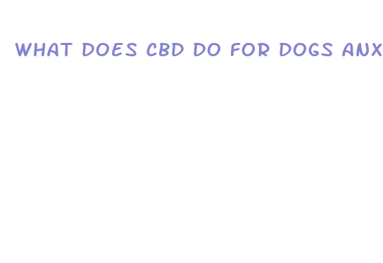 what does cbd do for dogs anxiety