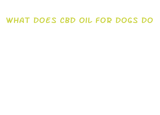 what does cbd oil for dogs do