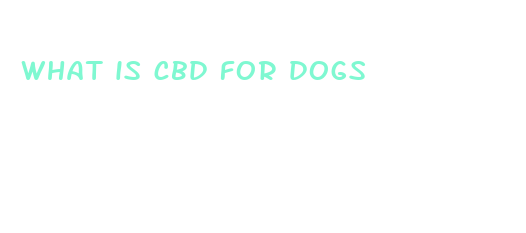 what is cbd for dogs