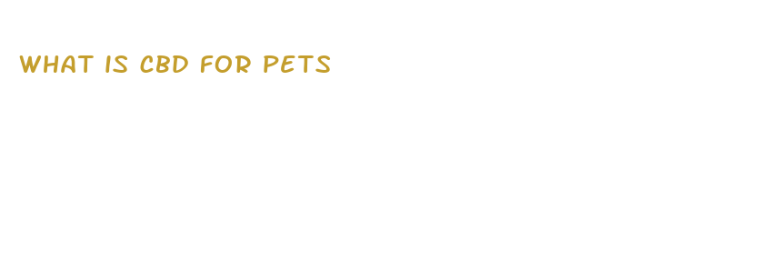 what is cbd for pets