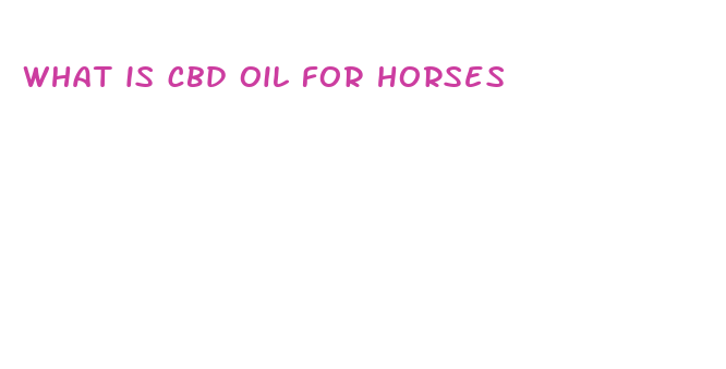 what is cbd oil for horses