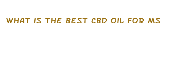 what is the best cbd oil for ms