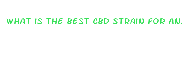 what is the best cbd strain for anxiety