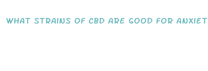 what strains of cbd are good for anxiety