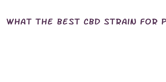 what the best cbd strain for pain