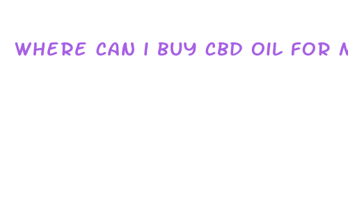 where can i buy cbd oil for my cat