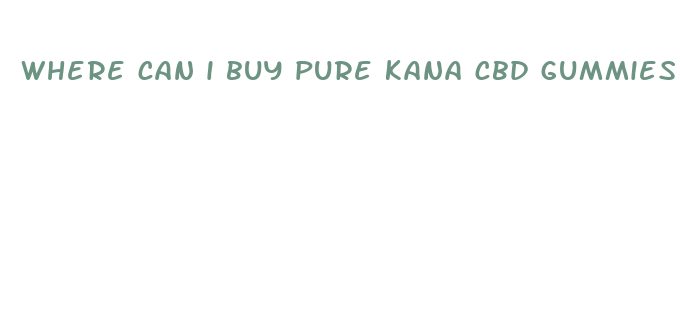 where can i buy pure kana cbd gummies