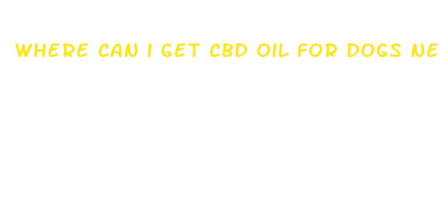 where can i get cbd oil for dogs near me