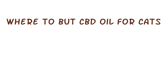 where to but cbd oil for cats