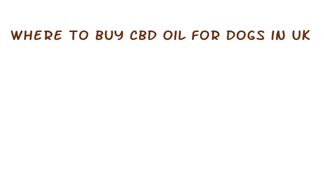 where to buy cbd oil for dogs in uk