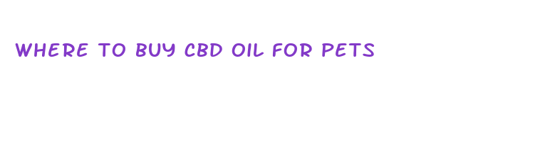 where to buy cbd oil for pets