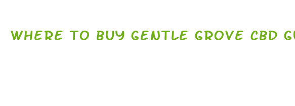 where to buy gentle grove cbd gummies