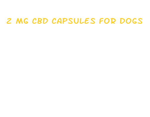 2 mg cbd capsules for dogs