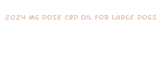 2024 mg dose cbd oil for large dogs