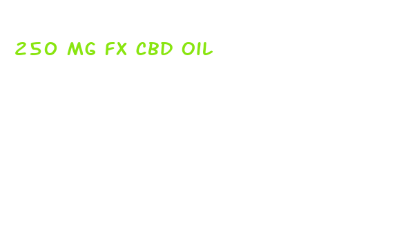 250 mg fx cbd oil